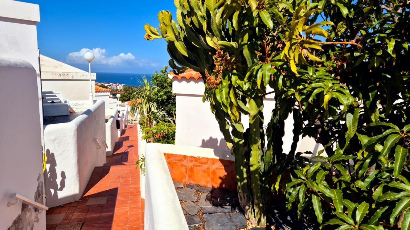 Costa Adeje Bungalow -Tenerife エクステリア 写真