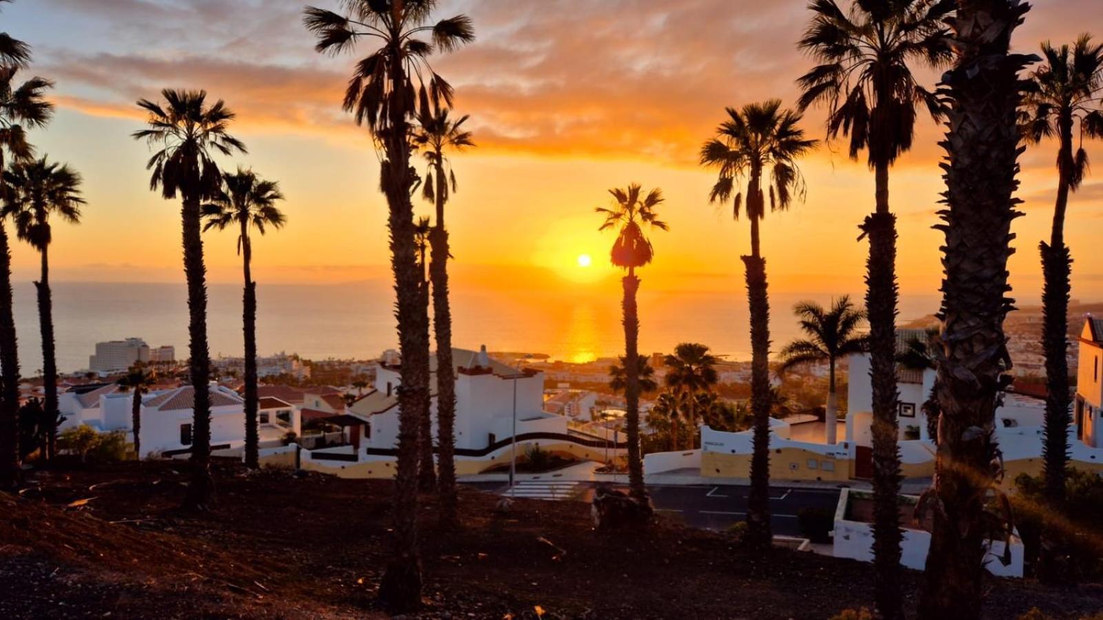 Costa Adeje Bungalow -Tenerife エクステリア 写真